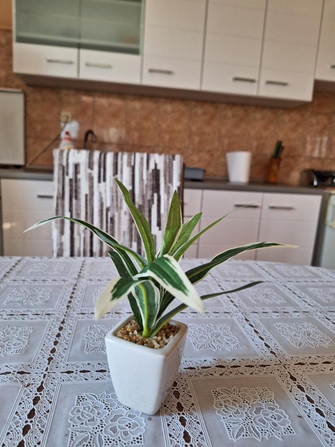 Mara Apartment *